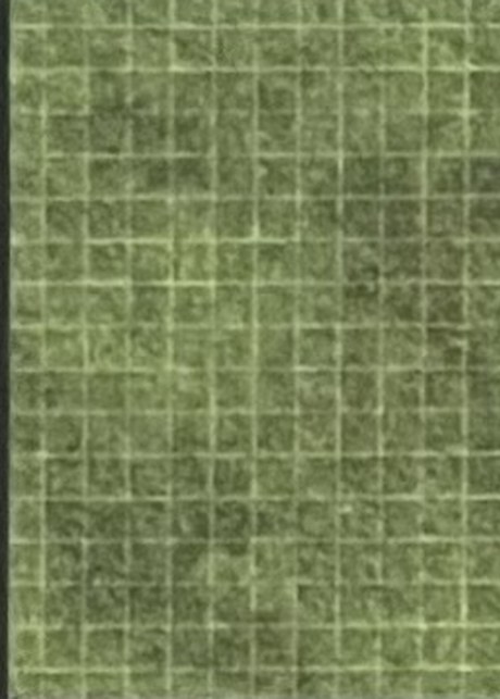 The Green Field, left half (page 3)