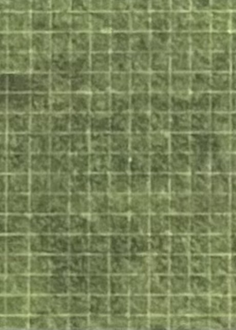 The Green Field, right half (page 4)