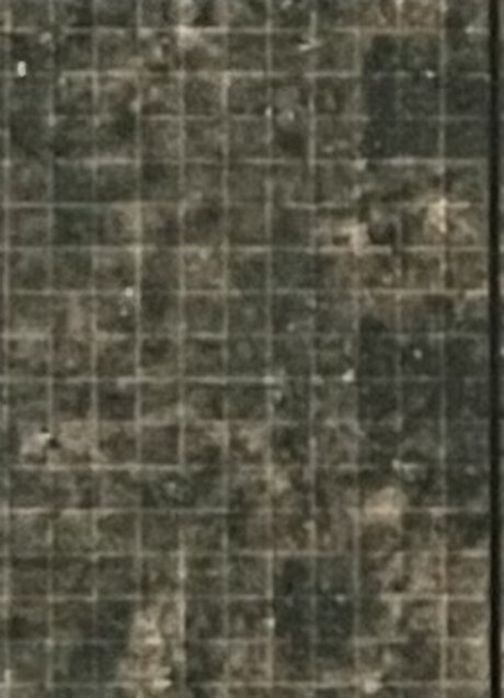 The Ashfield, left half (page 11)
