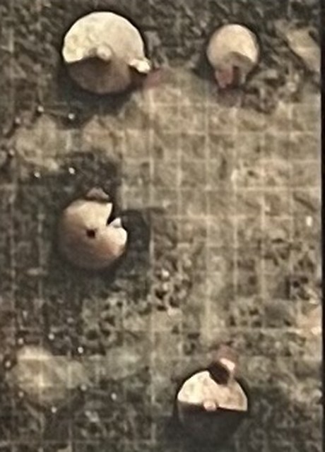 The Horde Camp, left half (page 45)