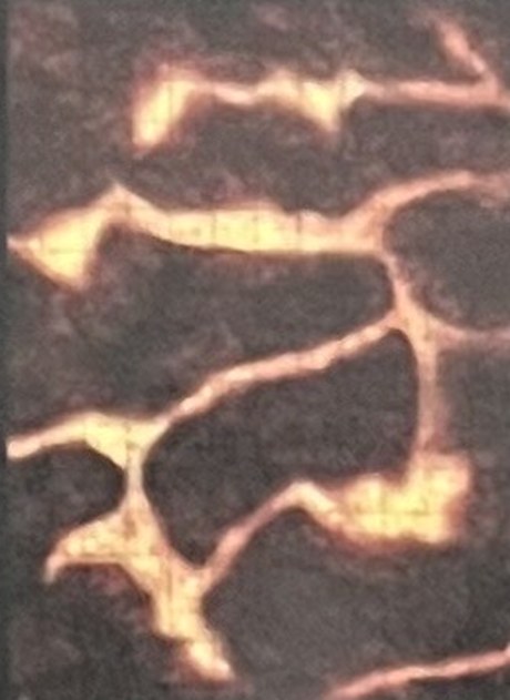 The Fire Floes, left half (page 49)