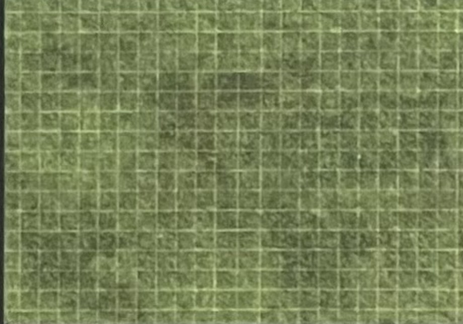 The Green Field, full spread (pages 3 and 4)